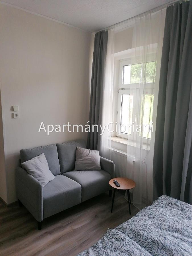 Apartmany Cipriani Jáchymov Exteriör bild